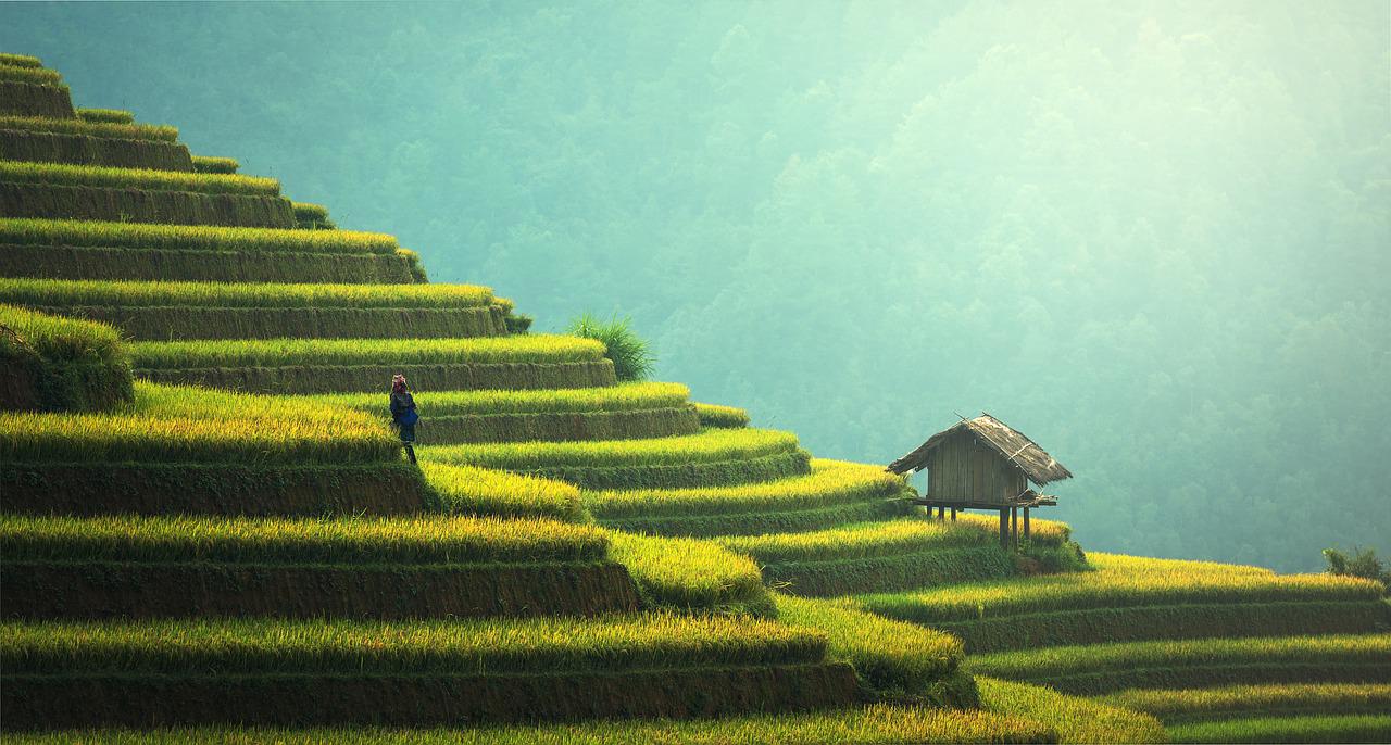 Our Bali Top 10